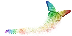 White,background,of,rainbow,butterfly,transformation,liberate,human,right,of